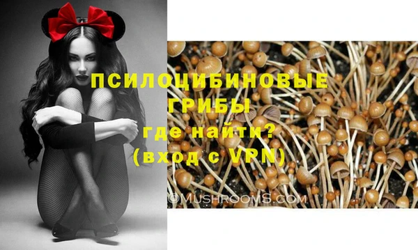 МДМА Заволжье