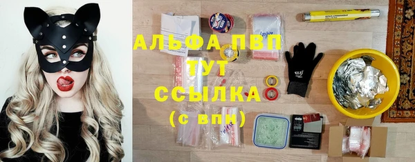 эйфоретик Заводоуковск