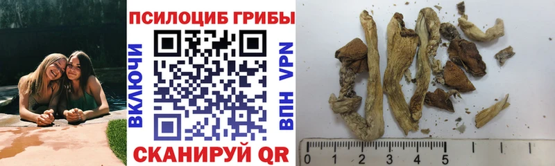 Галлюциногенные грибы Psilocybine cubensis  Купить закладки  Сенгилей 