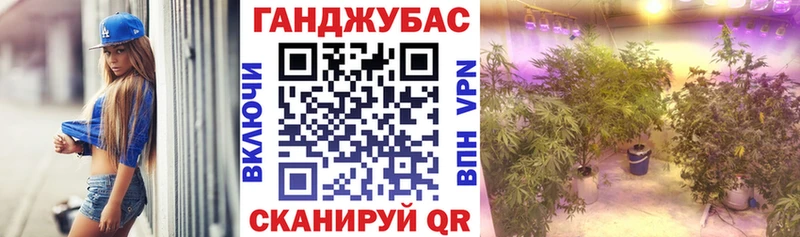 Бошки Шишки конопля Сенгилей