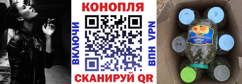 Шишки марихуана сатива  Купить закладки  Сенгилей 